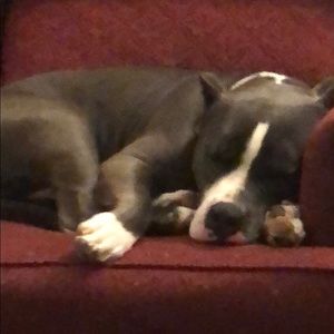 Meet your Posher, Michael